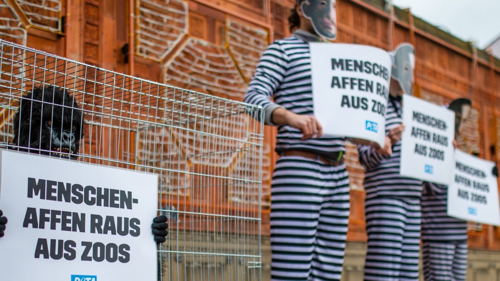Anhänger der Tierrechtsorganisation Peta protestierten 2025 vor der Wilhelma gegen Affenhaltung in Zoos und erstatteten Anzeige – ohne Erfolg. Die Ermittlungen wurden eingestellt.Foto: Lichtgut/Christoph Schmidt