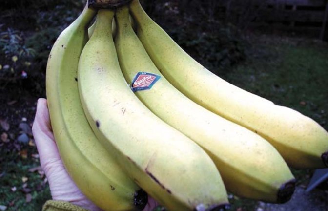 Korrekt: die faire Bio-Banane. Foto: Rücker