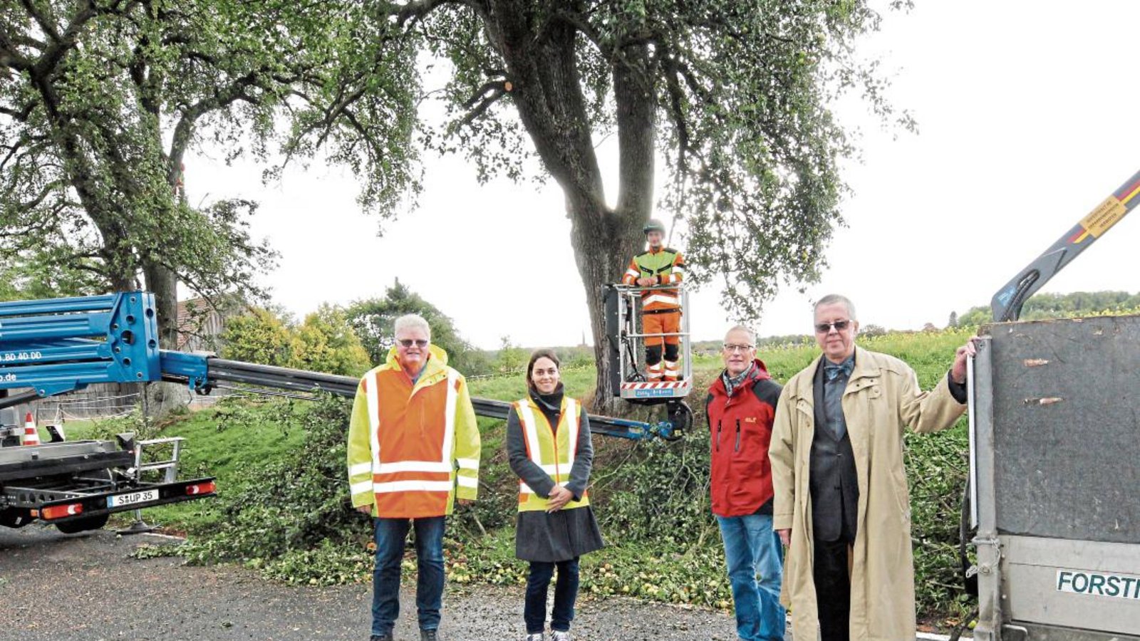 Überzeugten sich von der Arbeit des Baumpflegeexperten Axel Staib (hinten) an Mostbirnbäumen bei Lienzingen (vorne von rechts): Dezernent Wolfgang Herz, Obstbau-Fachberater Bernhard Reisch, Sandy Hillbrecht (Verkehrsamt) und Heinrich Elwert (Straßenmeisterei).  Foto: Kollros
