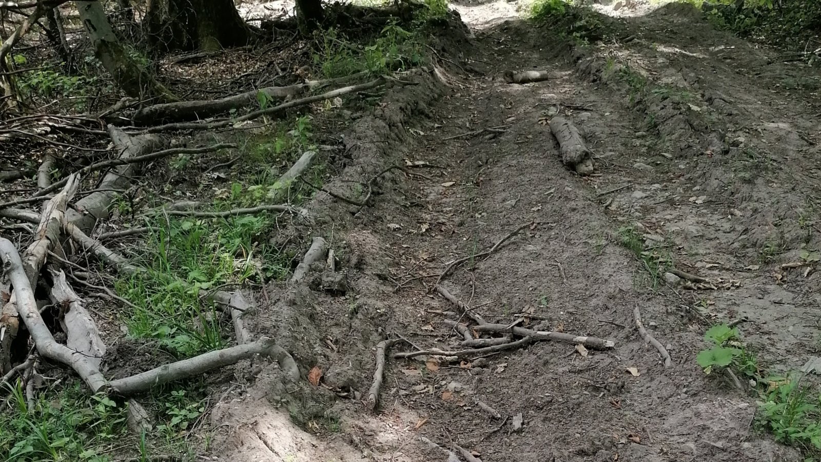 Sensationsfund im Wald bei Sternenfels. Ob auch das Einhorn einem Wildunfall zum Opfer gefallen ist, ließ sich leider nicht mehr zweifelsfrei feststellen.  Foto: Banholzer
