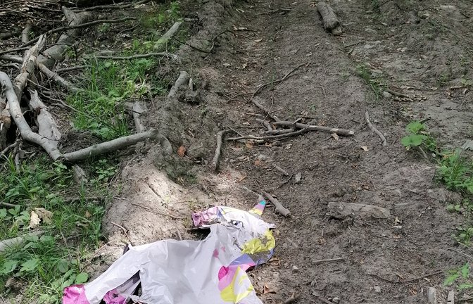 Sensationsfund im Wald bei Sternenfels. Ob auch das Einhorn einem Wildunfall zum Opfer gefallen ist, ließ sich leider nicht mehr zweifelsfrei feststellen.  <span class='image-autor'>Foto: Banholzer</span>