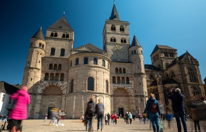 Ein 72-Jähriger soll im Trierer Dom rund 500 Mittelmeergrillen ausgesetzt haben (Archivfoto).<span class='image-autor'>Harald Tittel/dpa</span>