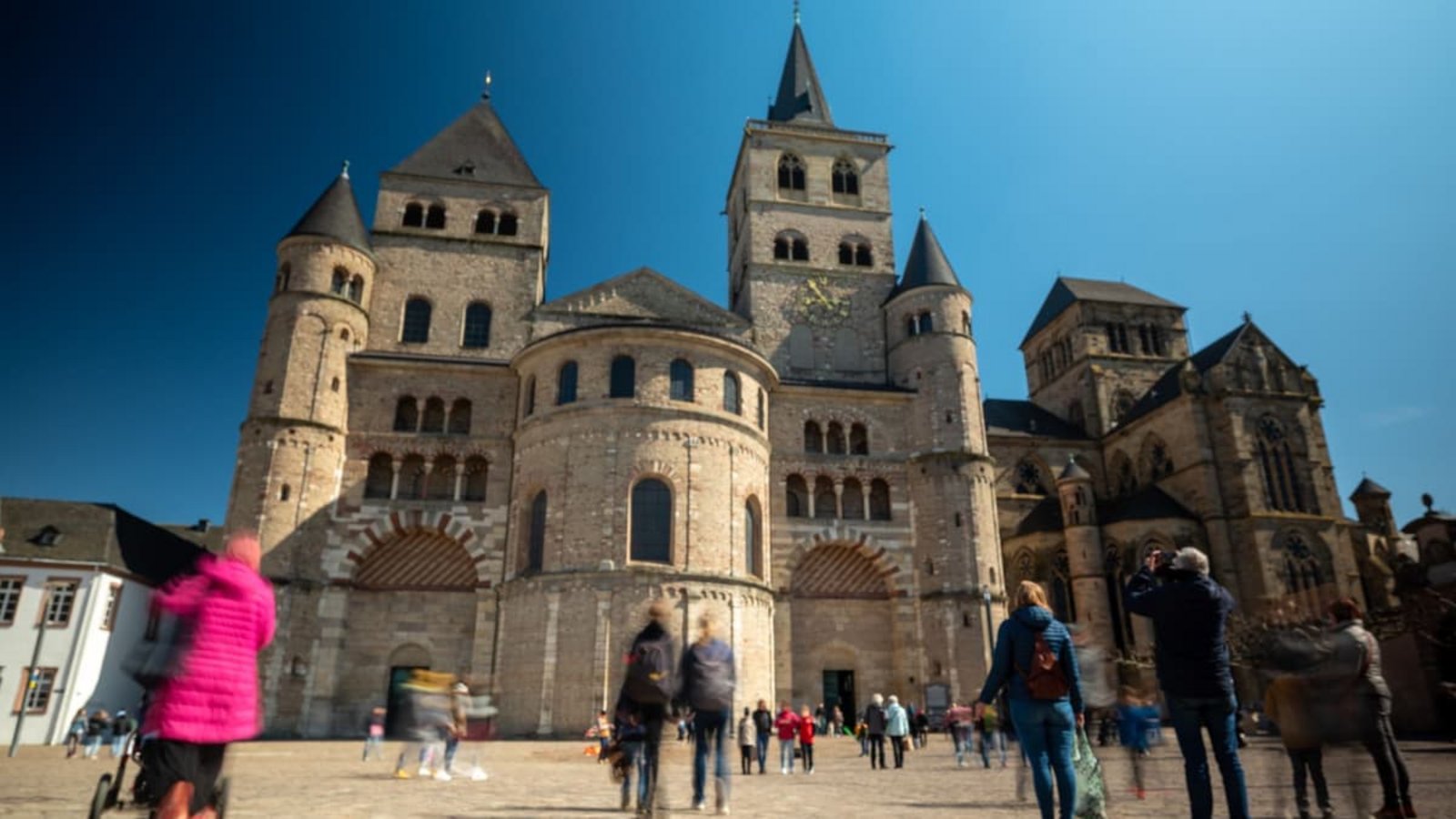 Ein 72-Jähriger soll im Trierer Dom rund 500 Mittelmeergrillen ausgesetzt haben (Archivfoto).Harald Tittel/dpa Ein 72-Jähriger soll im Trierer Dom rund 500 Mittelmeergrillen ausgesetzt haben (Archivfoto).Harald Tittel/dpa