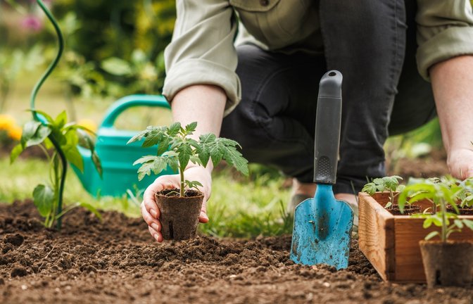 Kann man den freien Tag zum Arbeiten im Garten nutzen?<span class='image-autor'>Foto: encierro / shutterstock.com</span>