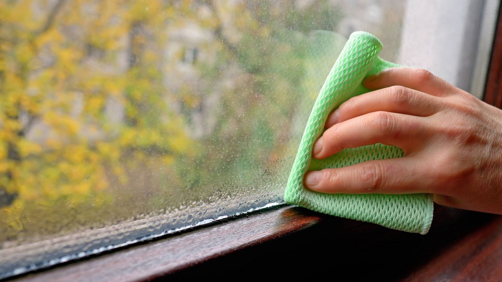 Sammelt sich Feuchtigkeit an der Innenseite der Fenster, droht Schimmelgefahr.Foto: imago images/Shotshop/Iordache Magdalena via www.imago-images.de