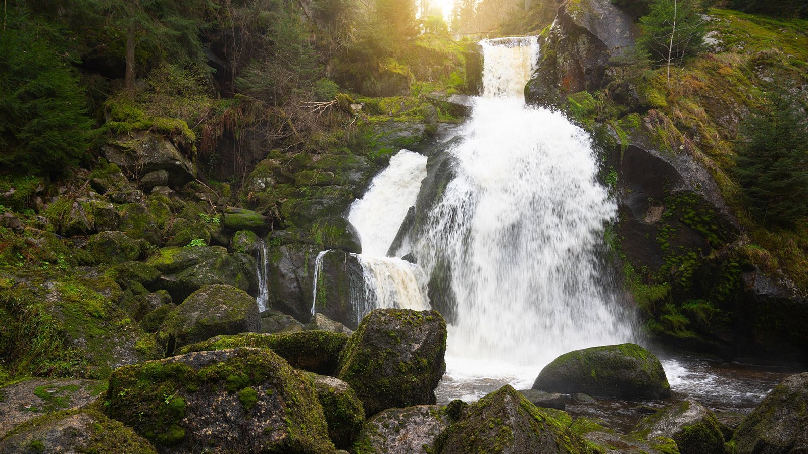 Die Triberger Wasserfälle sind Deutschlands höchste Wasserfälle.Foto: IMAGO/Zoonar/Berit Kessler Die Triberger Wasserfälle sind Deutschlands höchste Wasserfälle.Foto: IMAGO/Zoonar/Berit Kessler