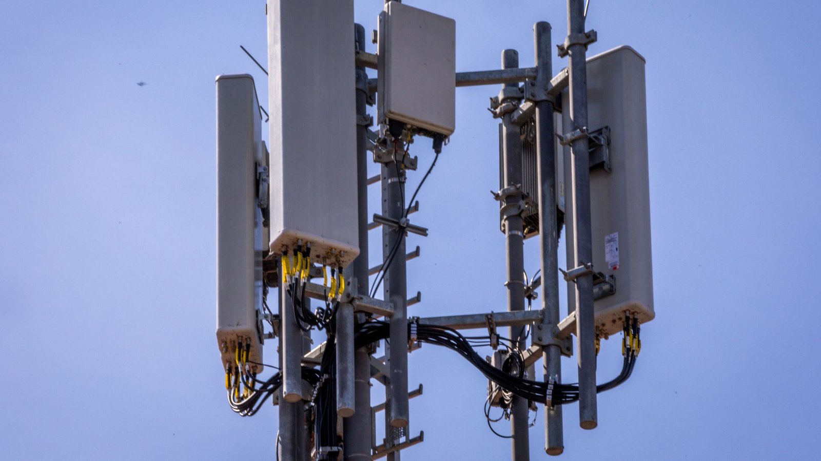 Einer von Zehntausenden Mobilfunk-Antennenstandorten in Deutschland. (Archivbild)Foto: Jens Büttner/dpa
