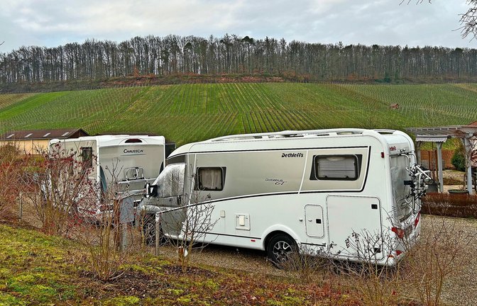 Beim Weinbetrieb Heuhölzle blickt man auf Reben.<span class='image-autor'>Foto: Frühauf</span>