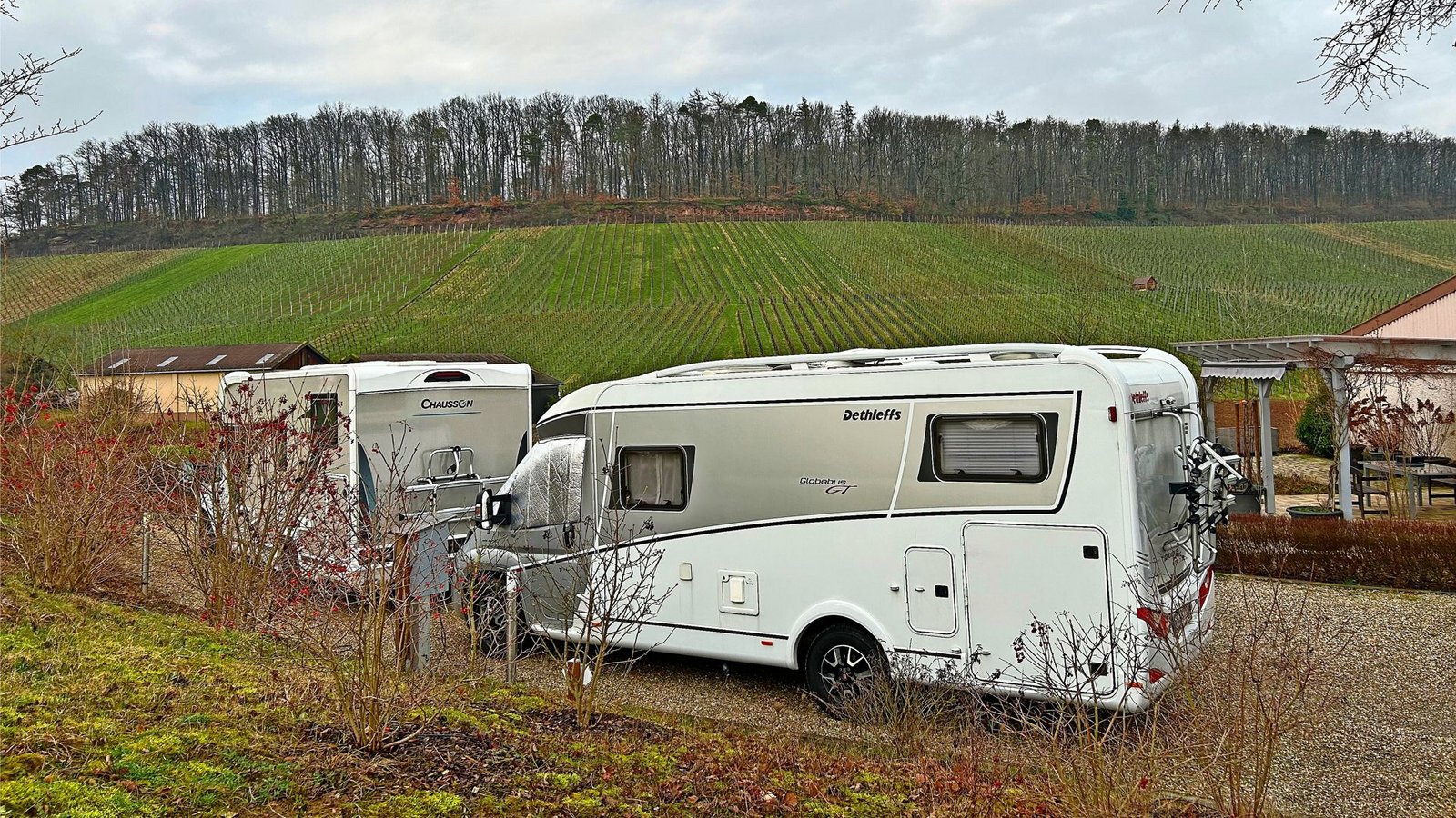 Beim Weinbetrieb Heuhölzle blickt man auf Reben.Foto: Frühauf Beim Weinbetrieb Heuhölzle blickt man auf Reben.Foto: Frühauf