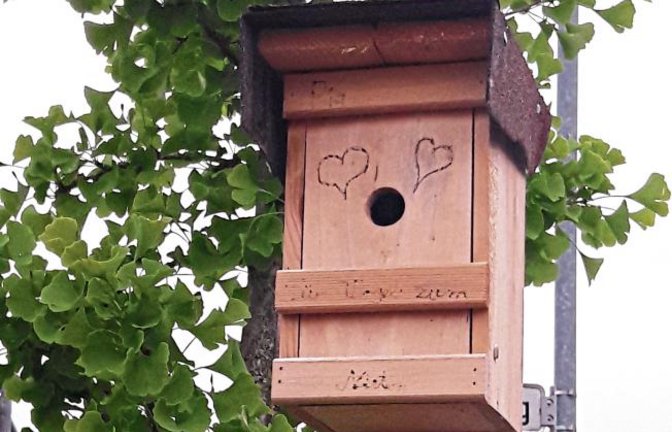 Liebevoll gestaltetes Eigenheim für Gefiederte zu vergeben. Gesehen in Aurich. Foto: sr