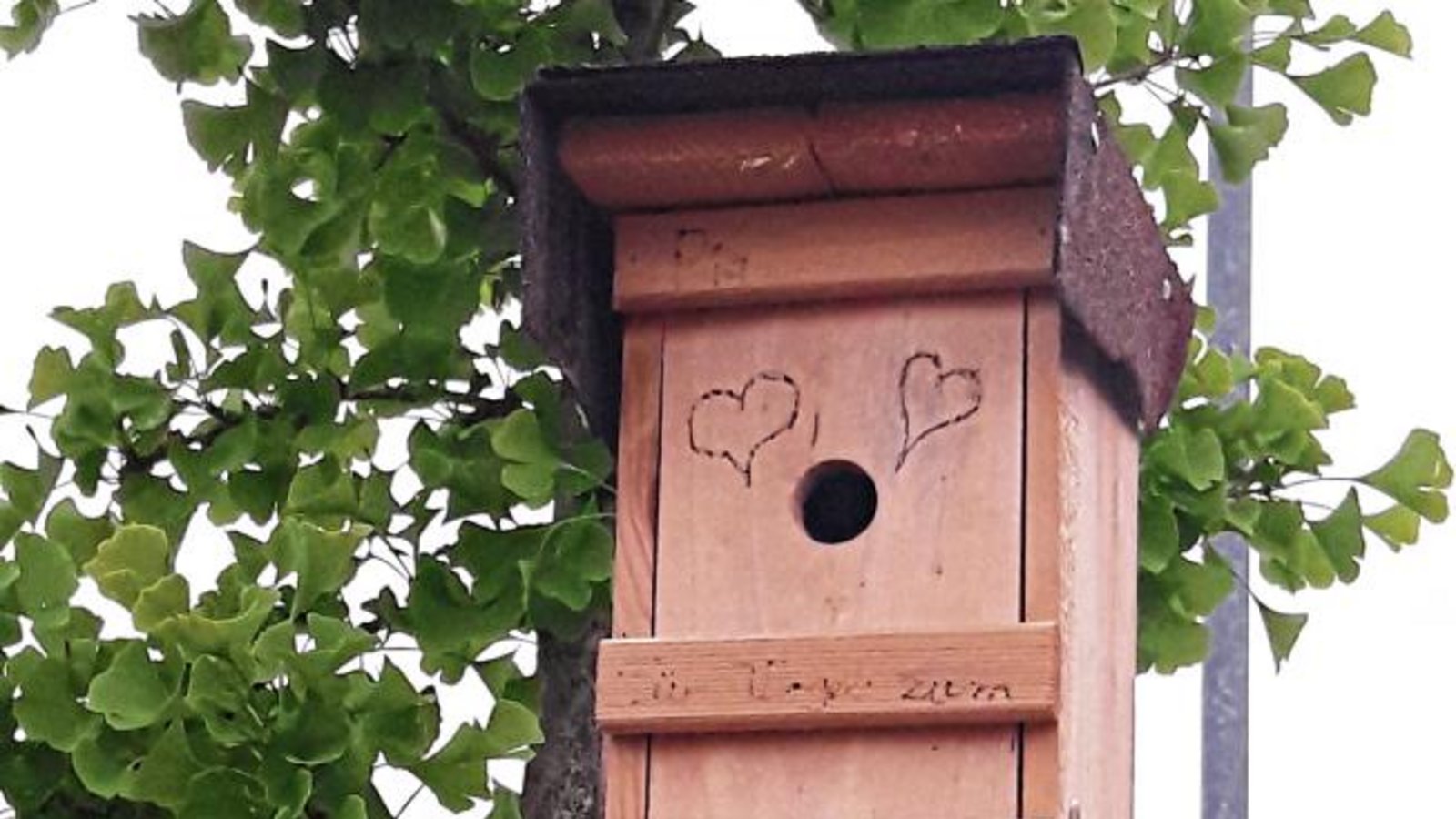 Liebevoll gestaltetes Eigenheim für Gefiederte zu vergeben. Gesehen in Aurich. Foto: sr