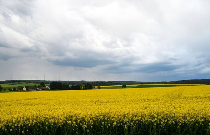 Wolken über einem Rapsfeld. (Symbolfoto)<span class='image-autor'>Foto: IMAGO/onw-images/IMAGO/Philipp André</span>