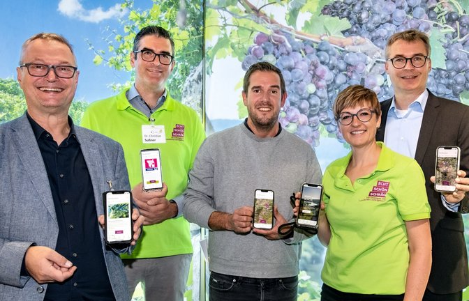 App für Steillagen – von links: Jörg Frauhammer (Bürgermeister Gemmrigheim), Christian Sußner, Boris Seitz (Bürgermeister Mundelsheim), Stefanie Bartzsch (Leitung FB21 Kreisentwicklung & Klimaschutz) und Alexander Lahl (Regionaldirektor – Verband Region Stuttgart). <span class='image-autor'>Foto: LL</span>