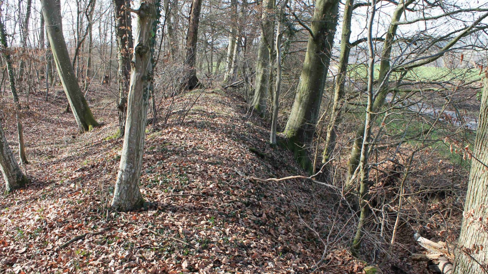 Landgraben aus nächster Nähe: Das bietet eine Tour am 2. Juli. Foto: p Landgraben aus nächster Nähe: Das bietet eine Tour am 2. Juli. Foto: p