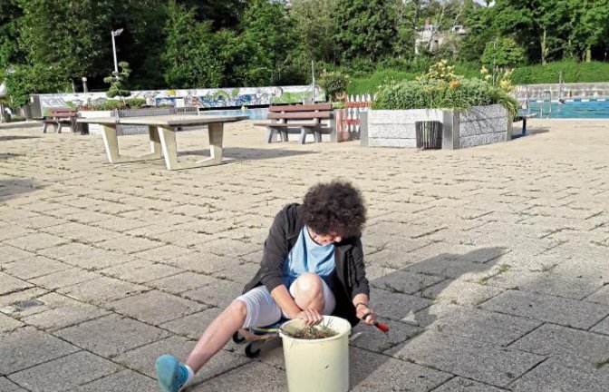 In der Ruhe liegt vermutlich die Kraft, die für die Bekämpfung der Kräuter und Gräser in den unzähligen Fugen des Vaihinger Freibads nötig ist.  Foto: Rücker