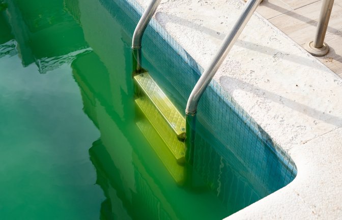 Algen im Pool trüben Anblick und Badespaß. Erfahren Sie, wie Sie beim Entfernen von Algen im Pool vorgehen sollten.<span class='image-autor'>Foto: Vfhnb12 / Shutterstock.com</span>