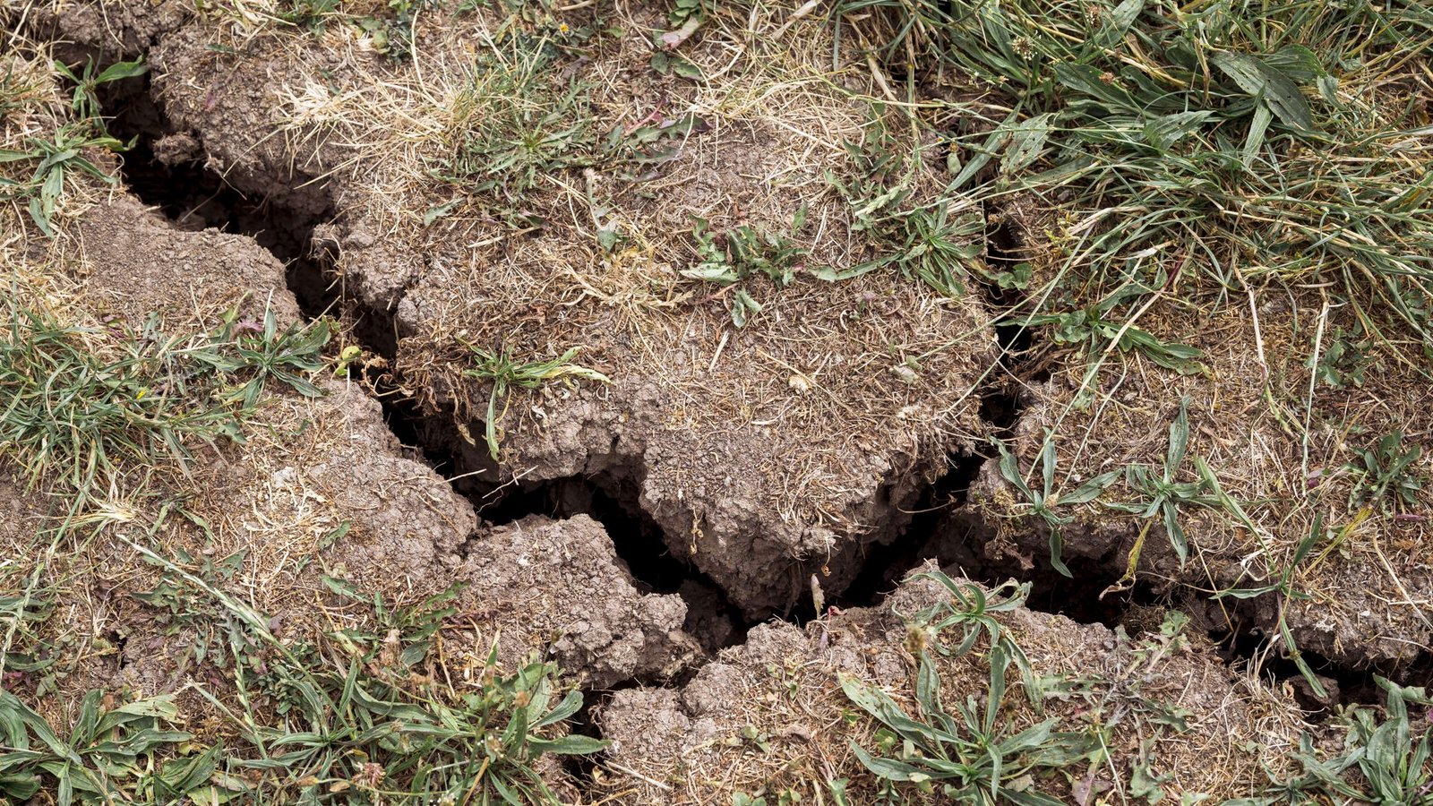 Der Grundwasserspiegel sinkt in Teilen Deutschlands spürbar – mit Folgen für Umwelt und Menschen.Foto: Daniel Vogl/dpa/Daniel Vogl Der Grundwasserspiegel sinkt in Teilen Deutschlands spürbar – mit Folgen für Umwelt und Menschen.Foto: Daniel Vogl/dpa/Daniel Vogl