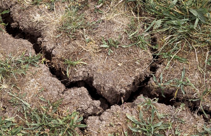 Der Grundwasserspiegel sinkt in Teilen Deutschlands spürbar – mit Folgen für Umwelt und Menschen.<span class='image-autor'>Foto: Daniel Vogl/dpa/Daniel Vogl</span>