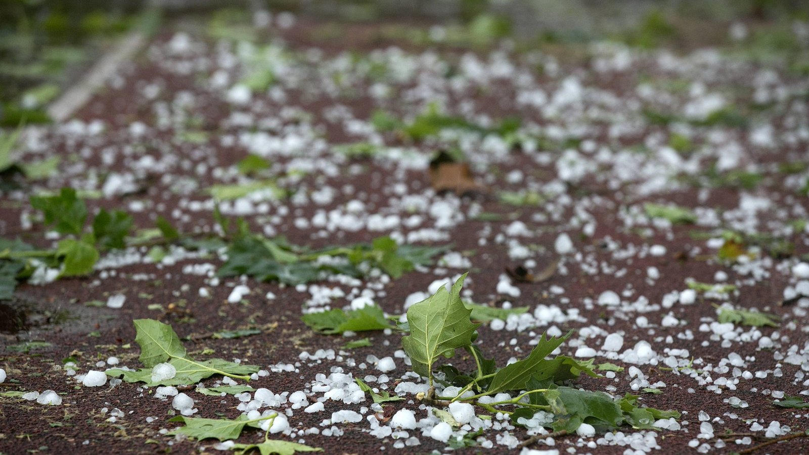 Erneut kann sich in BW Hagel bilden (Archivbild).Foto: IMAGO / Horst Rudel Erneut kann sich in BW Hagel bilden (Archivbild).Foto: IMAGO / Horst Rudel