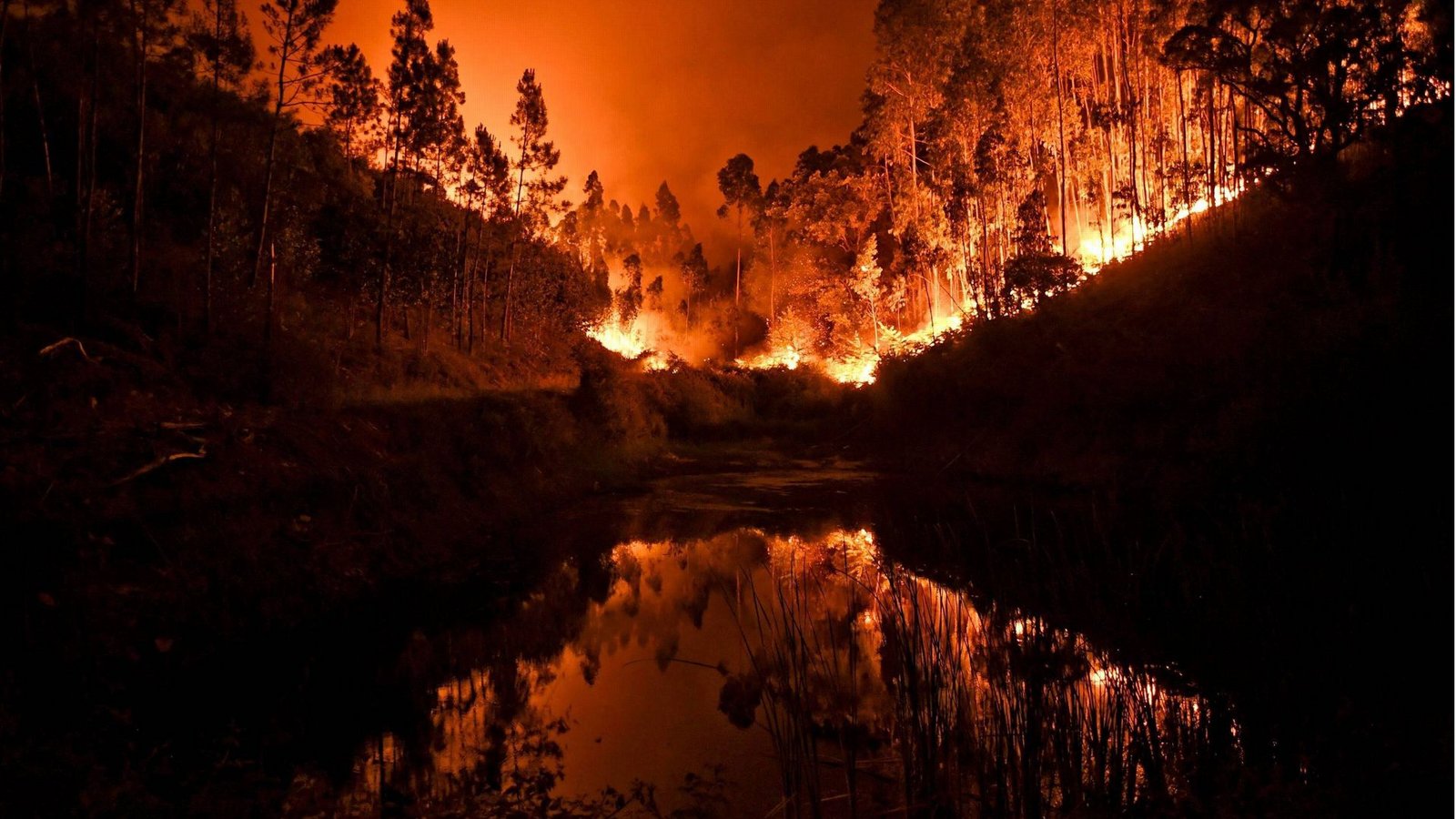 Die Welt steht bereits in Flammen. Die Frage ist nur noch, ob sich die Brände löschen lassen oder es bereits zu spät ist?Foto: Imago/Zoonar Die Welt steht bereits in Flammen. Die Frage ist nur noch, ob sich die Brände löschen lassen oder es bereits zu spät ist?Foto: Imago/Zoonar