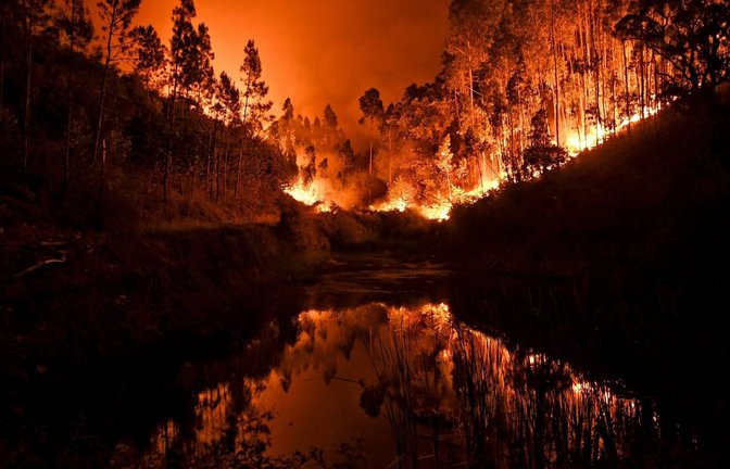 Die Welt steht bereits in Flammen. Die Frage ist nur noch, ob sich die Brände löschen lassen oder es bereits zu spät ist?<span class='image-autor'>Foto: Imago/Zoonar</span>