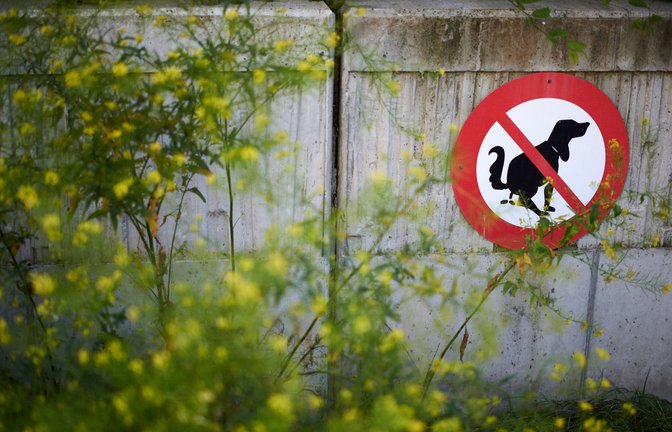 Bis zu 1048 Euro Strafe müssen Hundehalter in einigen Gemeinden in Südtirol zahlen, wenn der Kot am Wegesrand liegen bleibt.<span class='image-autor'>Foto: imago images/robertkalb photographien/Robert Kalb via www.imago-images.de</span>