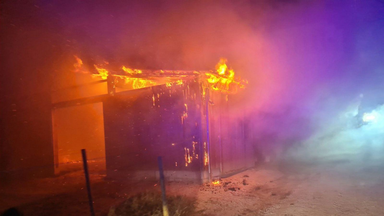 Die Tiere konnten alle in Sicherheit gebracht werden.Foto: Freiwillige Feuerwehr Stockach Die Tiere konnten alle in Sicherheit gebracht werden.Foto: Freiwillige Feuerwehr Stockach