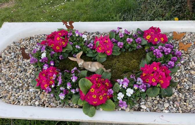 Da ruht sich in Ensingen der Osterhase aus, bevor der Ostertrubel richtig losgeht. Fotografiert von Klaus-Peter Hilgers.