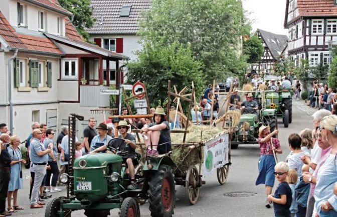 Erinnerungen an 2019, als es noch kein Corona gab. Gestern wäre wieder Lindenfest in Roßwag gewesen. Foto: Archiv