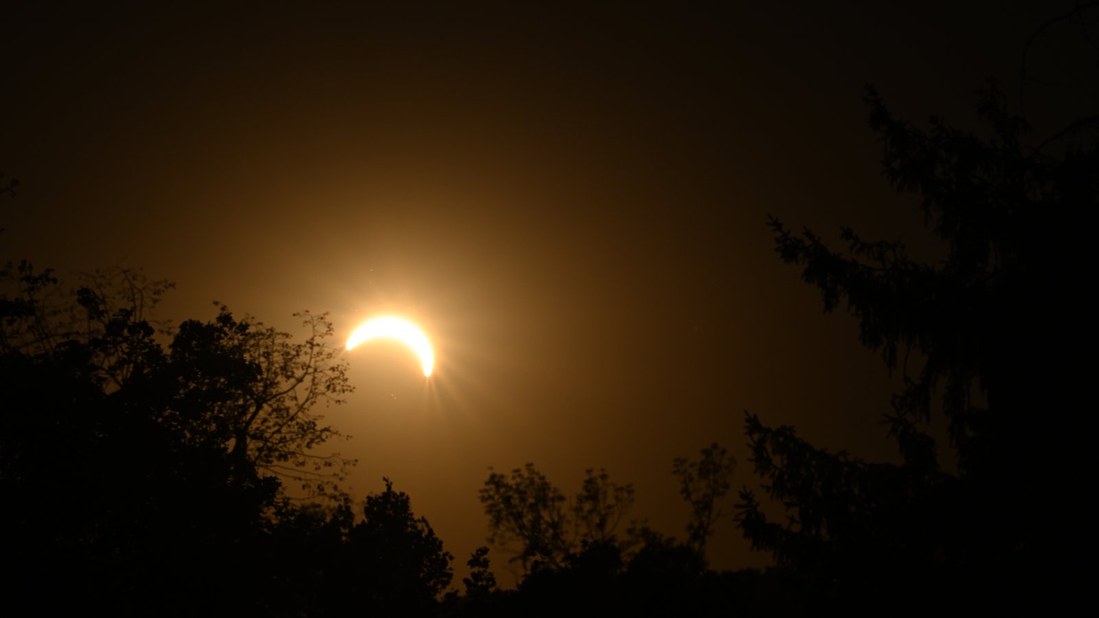 Und nochmal die Sonnenfinsternis von Nicole Stahl.