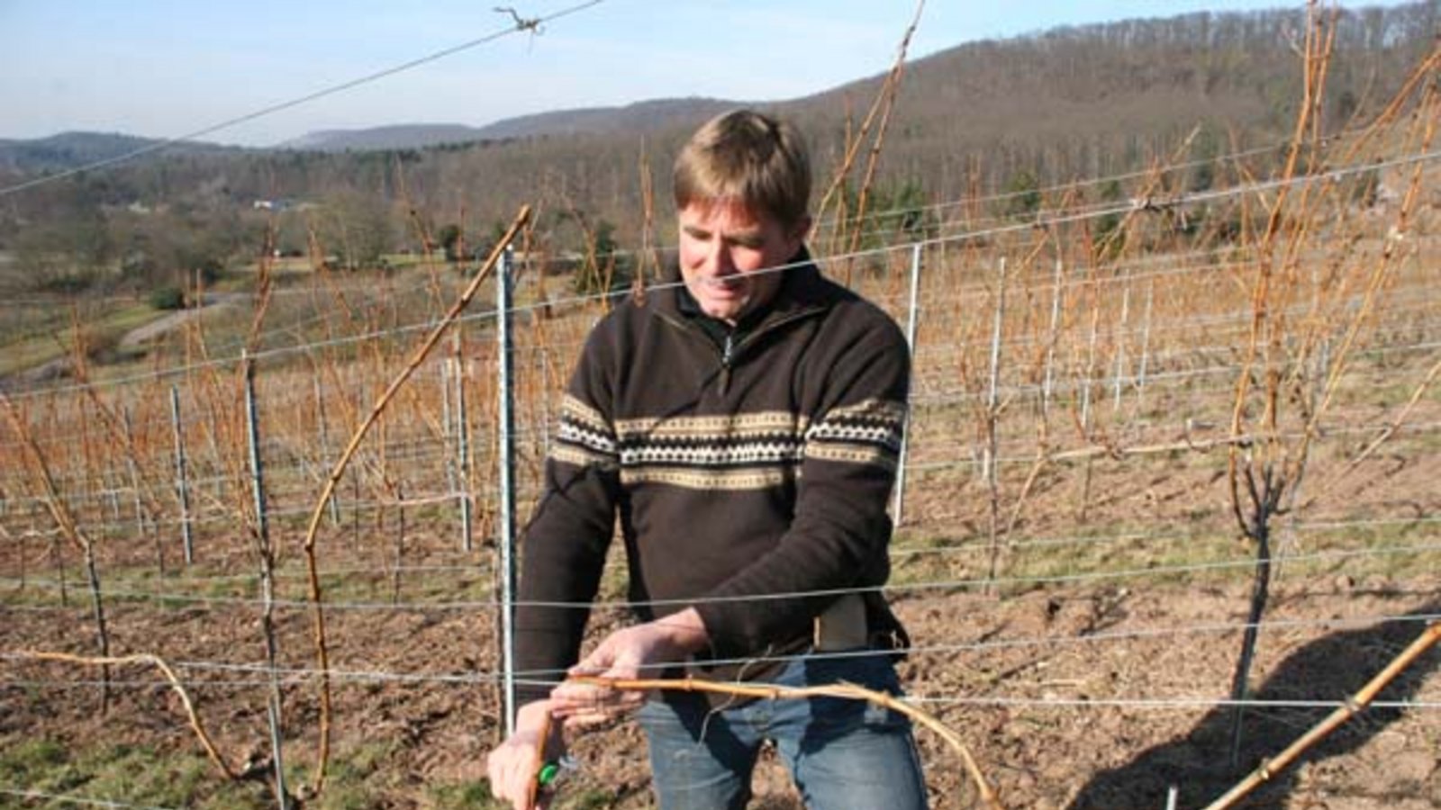 Bastian Walz beim Biegen einer Rute. Foto: Elsässer Bastian Walz beim Biegen einer Rute. Foto: Elsässer