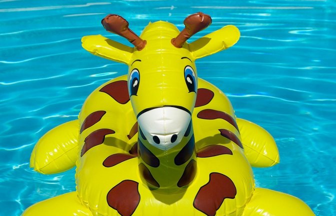 Ab ins Wasser! <span class='image-autor'>Foto: jackmac34/pixabay.com</span>