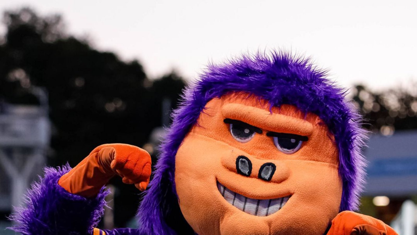 Der Gorilla George lässt bei Heimspielen des australischen Erstligisten Perth Glory seine Muskeln spielen.Foto: IMAGO/Sports Press Photo Der Gorilla George lässt bei Heimspielen des australischen Erstligisten Perth Glory seine Muskeln spielen.Foto: IMAGO/Sports Press Photo