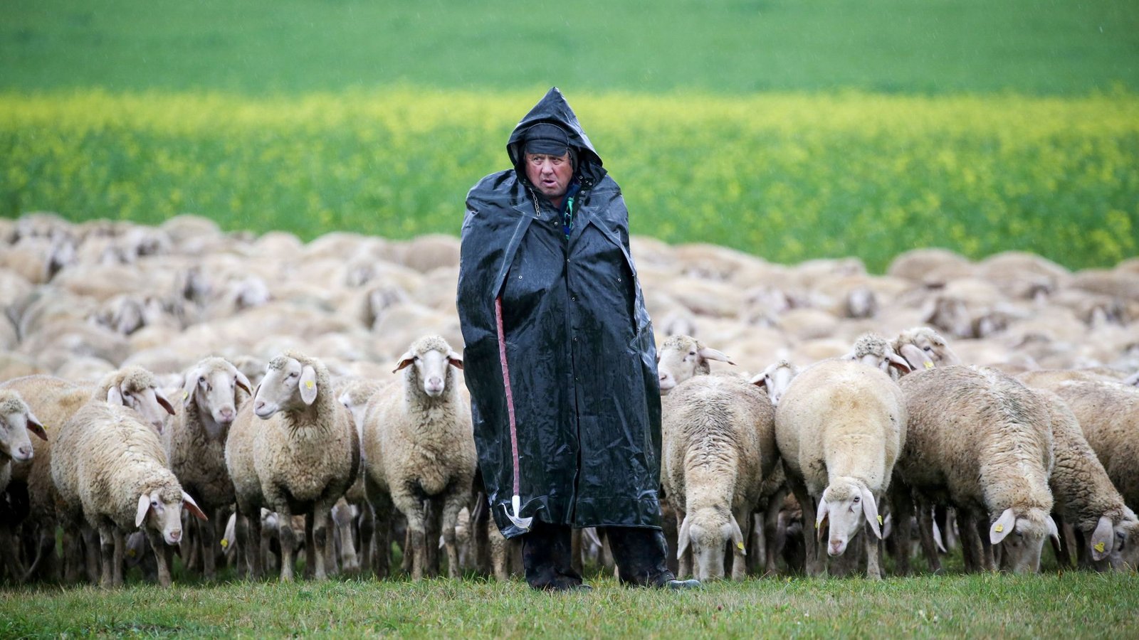 Das Wetter im Südwesten bleibt am Wochenende unbeständig.Foto: Thomas Warnack/dpa/Thomas Warnack