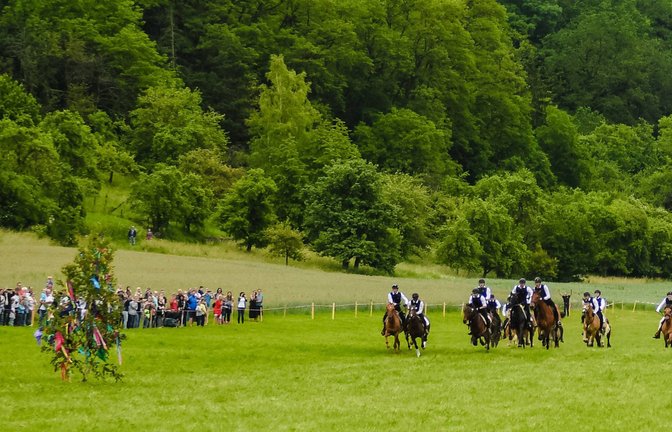 Beim Wurmlinger Pfingstritt 2019 (Archivbild)<span class='image-autor'>Foto: imago images / Eibner</span>