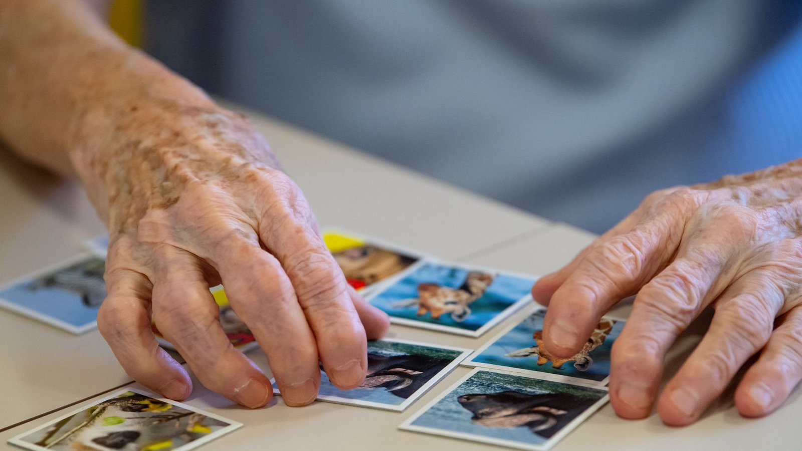 Demenz führt zu Vergessen. Inzwischen gibt es vielversprechende Medikamente. Eine Heilung ist aber weiter nicht möglich.Foto: dpa/Sven Hoppe Demenz führt zu Vergessen. Inzwischen gibt es vielversprechende Medikamente. Eine Heilung ist aber weiter nicht möglich.Foto: dpa/Sven Hoppe
