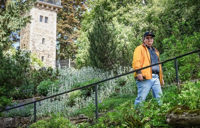 Matthias Busch vom Geschichtsverein Pro Alt-Cannstatt im eher unbekannten Daimler-Garten in Bad Cannstatt. Die Anlage wurde einst vom Stuttgarter Landschaftsarchitekten Albert Lilienfein entworfen und gebaut.<span class='image-autor'>Foto: Lichtgut/Ferdinando Iannone</span>