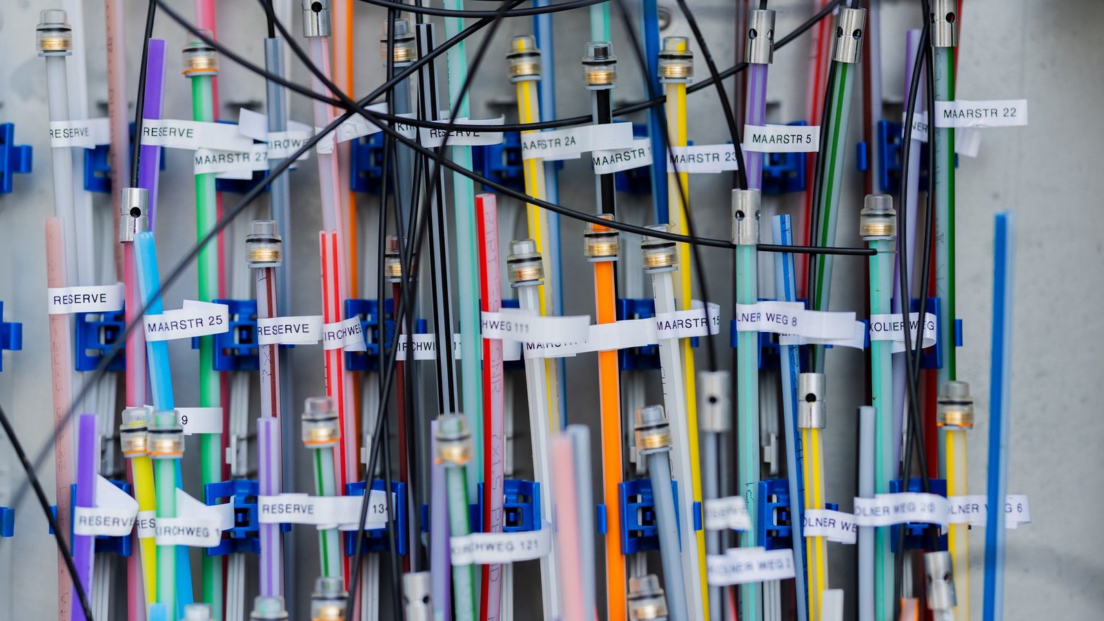 Glasfaserkabel in einem Verteilerkasten.Foto: Rolf Vennenbernd/dpa