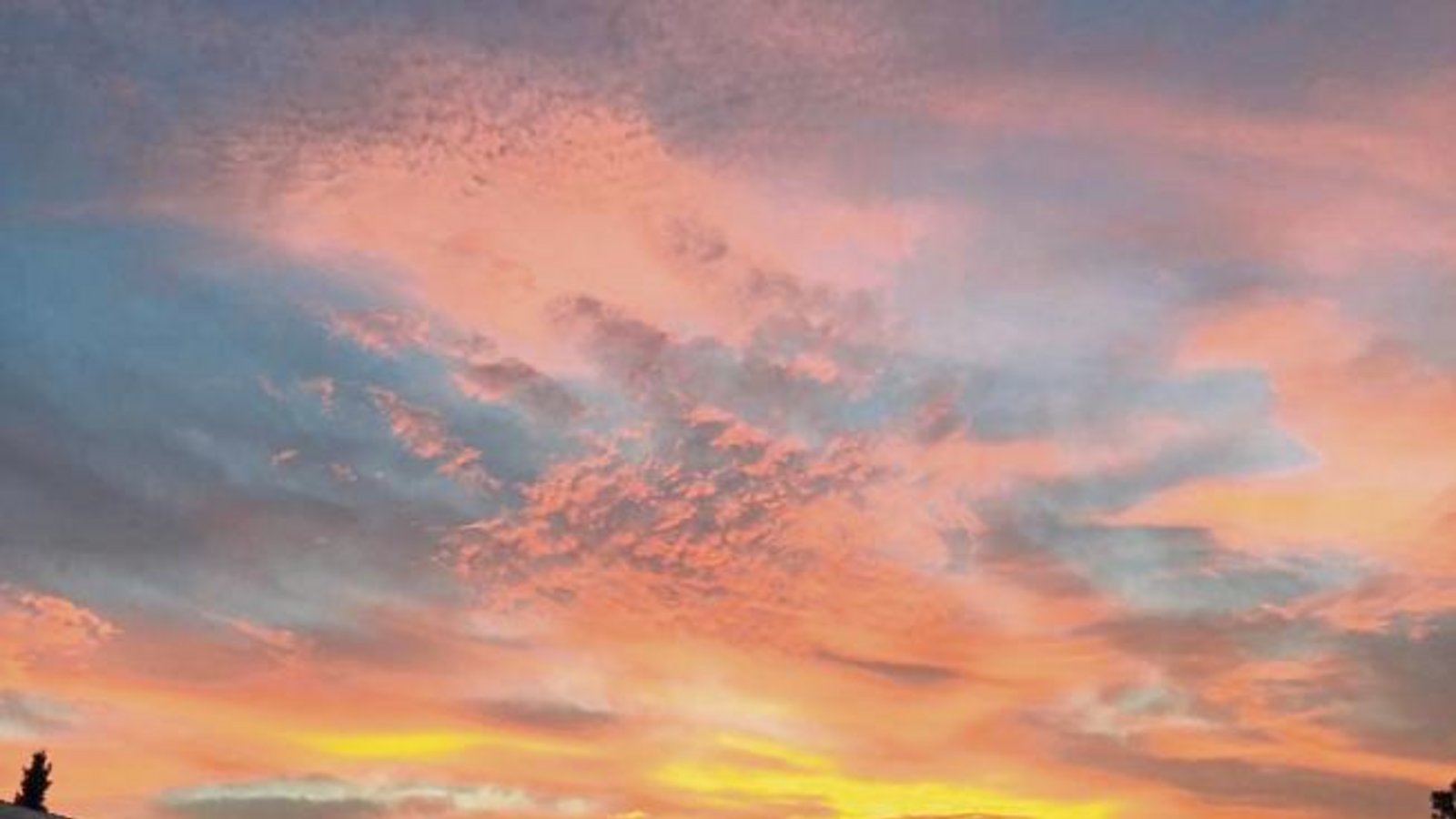 Sonnenaufgang im Kleinen Täle in Enzweihingen. Foto: Wasserbäch