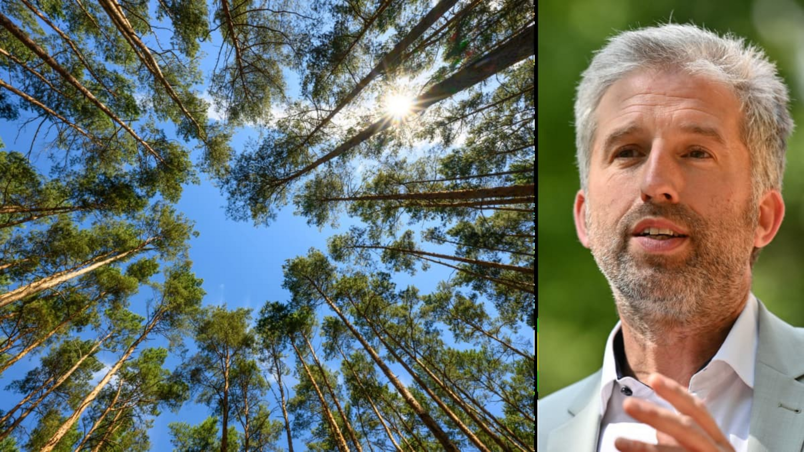 „Mich wundert, wie egal vielen Leuten der deutsche Wald heute ist“; sagt der Tübinger Oberbürgermeister Boris Palmer.Jan-Philipp Strobel;Patrick Pleul/dpa „Mich wundert, wie egal vielen Leuten der deutsche Wald heute ist“; sagt der Tübinger Oberbürgermeister Boris Palmer.Jan-Philipp Strobel;Patrick Pleul/dpa