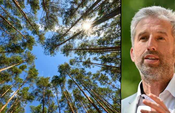 „Mich wundert, wie egal vielen Leuten der deutsche Wald heute ist“; sagt der Tübinger Oberbürgermeister Boris Palmer.<span class='image-autor'>Jan-Philipp Strobel;Patrick Pleul/dpa</span>