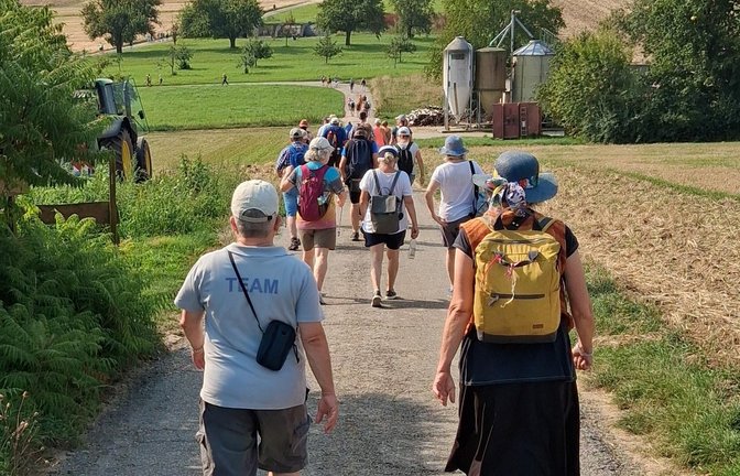 Auf Schusters Rappen können die Wanderer wieder eine schöne Runde erleben – ausgetüftelt von der Ortsgruppe Enzweihingen des Schwäbischen Albvereins.