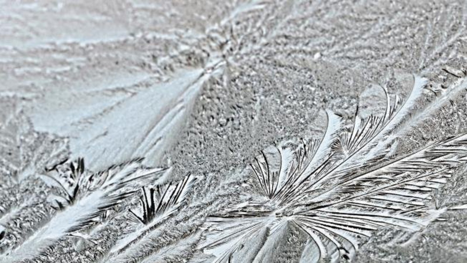 Der Winter ist ein Künstler – wie dieses Foto von den Eisblumen am Wintergartendach von Werner Frey aus Ensingen beweist. Der Winter ist ein Künstler – wie dieses Foto von den Eisblumen am Wintergartendach von Werner Frey aus Ensingen beweist.