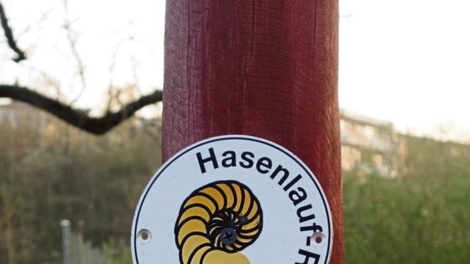 Wo läuft der (Oster)-Hase lang? Auf jeden Fall im Hasenlauf in Aurich.  Foto: Rücker