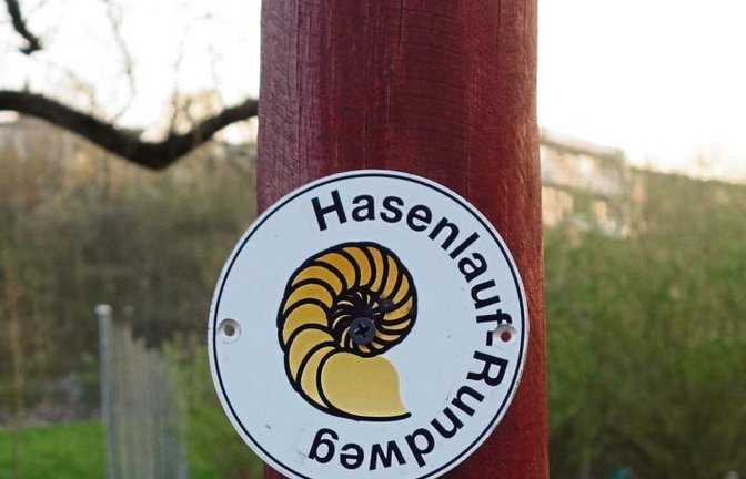 Wo läuft der (Oster)-Hase lang? Auf jeden Fall im Hasenlauf in Aurich.  Foto: Rücker
