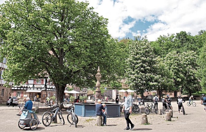 Ein wiederbelebter Klosterhof und prächtig blühende Kastanien erfreuten die Besucher.  Fotos: Filitz