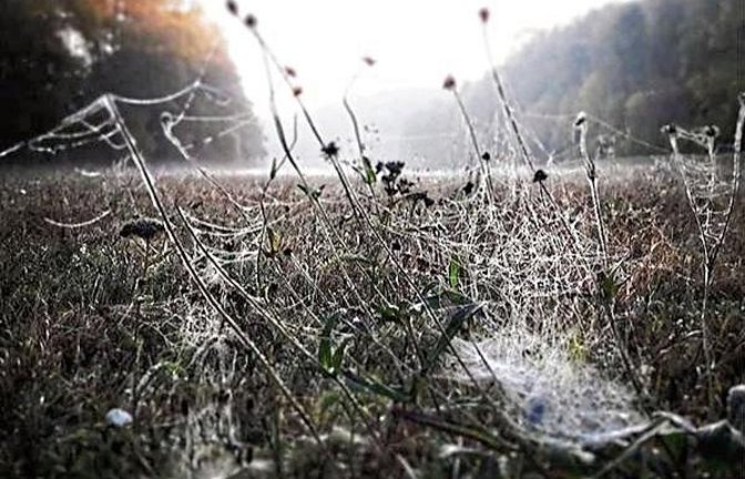 Ein später Altweibersommer grüßt mit irren Gebilden im Kreuzbachtal.  Foto: Rücker