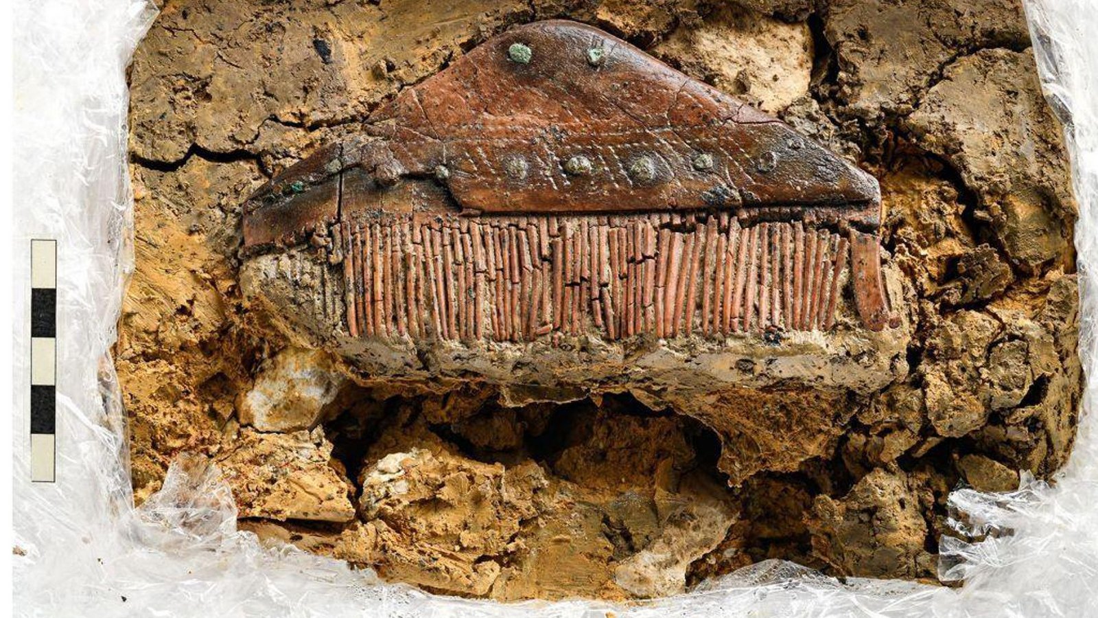 Ein Kamm aus einem frühalamannischen Grab, das bei einem Wohnungsbau in gerstetten von Archäologen entdeckt wurde.Foto: Yvonne Mühleis/ Landesamt für Denkmalpflege Stuttgart/dpa
