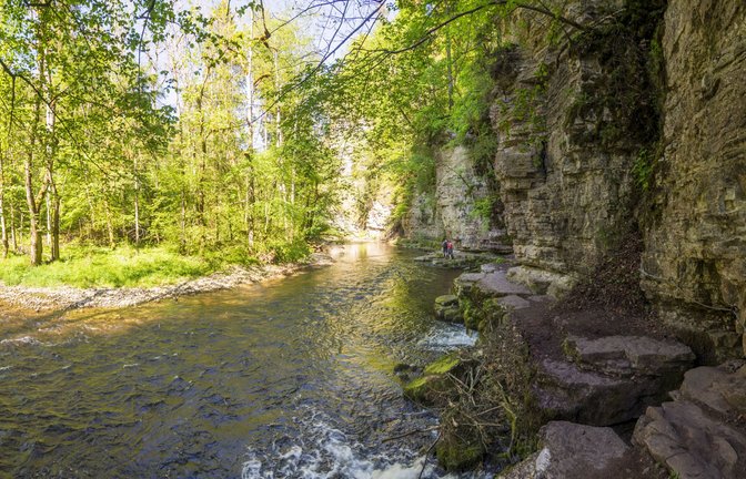 Ein großes Abenteuer: Die wilde Wutachschlucht im Schwarzwald.<span class='image-autor'>Foto: imago/Volker Preusser</span>
