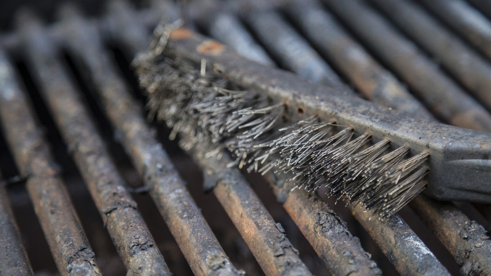 Auch die Grillbürste sollte regelmäßig gereinigt werden.Foto: William Hager / shutterstock.com Auch die Grillbürste sollte regelmäßig gereinigt werden.Foto: William Hager / shutterstock.com